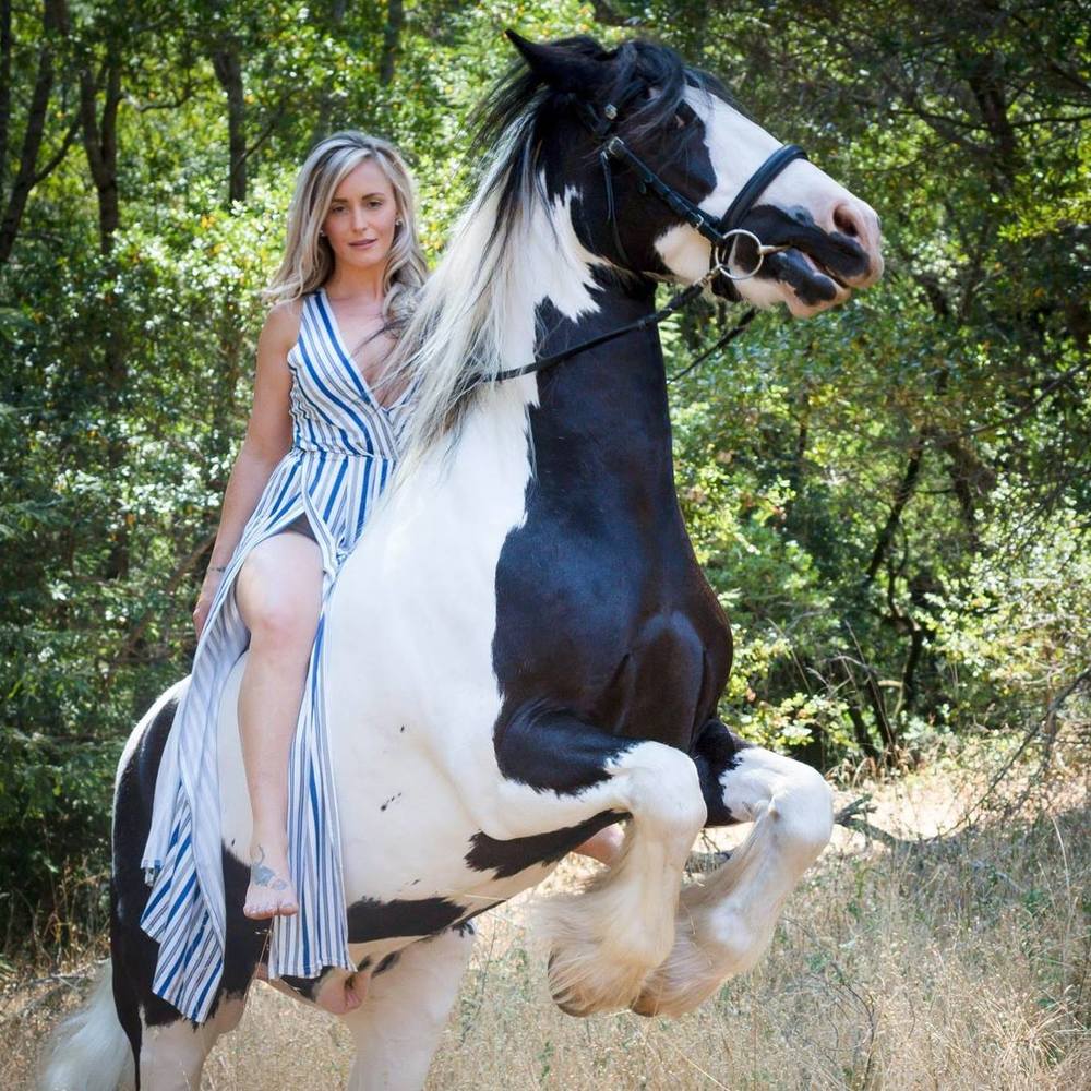 Meet your Posher, Ashley